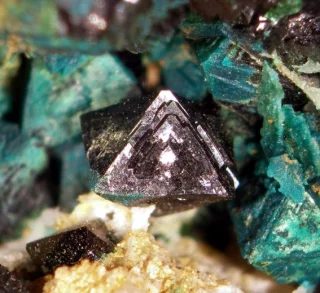Fotografie minerálů Libethenit, Pseudomalachit z lokality Lubietová, Slovakia