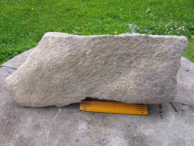 Fotografie minerálu Křemen (var. zkamenělé dřevo) z lokality Nové Strašecí, Czech Republic