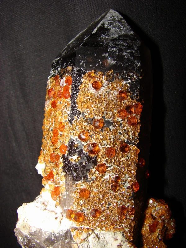 Fotografie minerálů Křemen (var. záhněda), Spessartin z lokality Tongbei, China