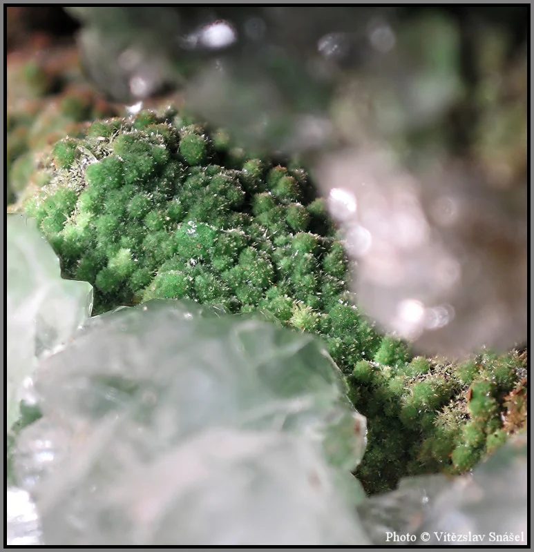 Fotografie minerálu Konichalcit z lokality Ojuela Mine, Mexico