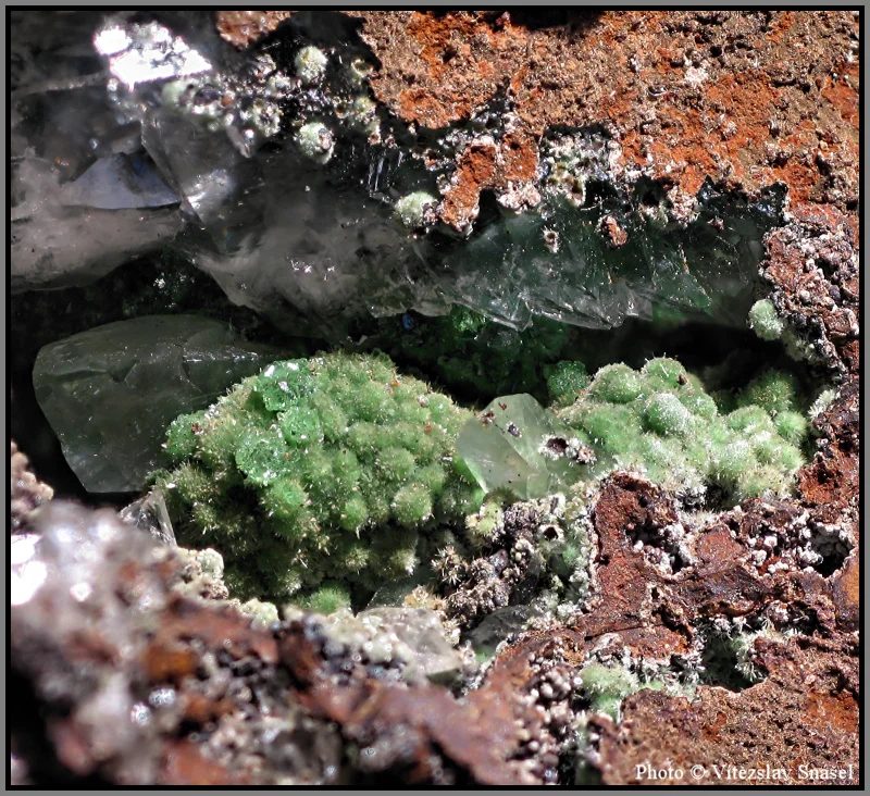 Fotografie minerálu Konichalcit z lokality Ojuela Mine, Mexico