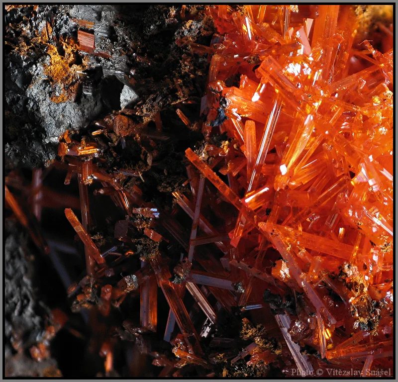 Fotografie minerálu Krokoit z lokality Dundas, Tasmánie, Australia