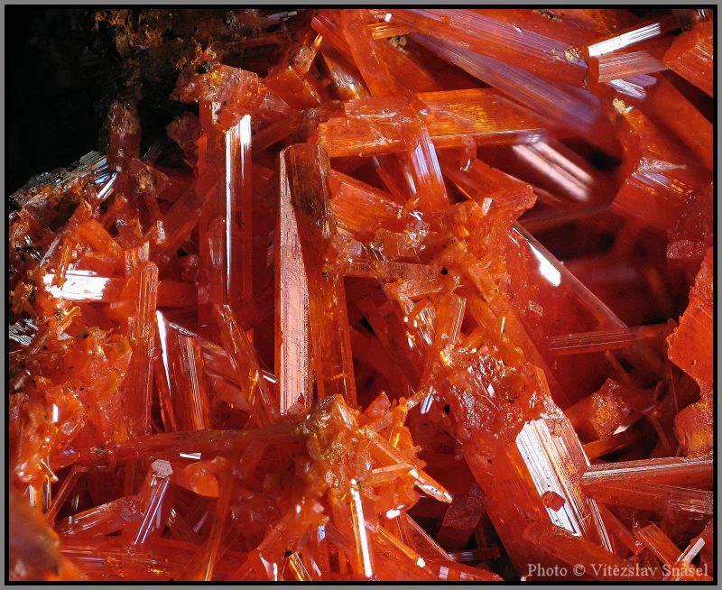 Fotografie minerálu Krokoit z lokality Dundas, Tasmánie, Australia