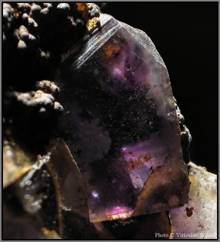 Fotografie minerálu Fluorit z lokality Budjgar, Mongolia