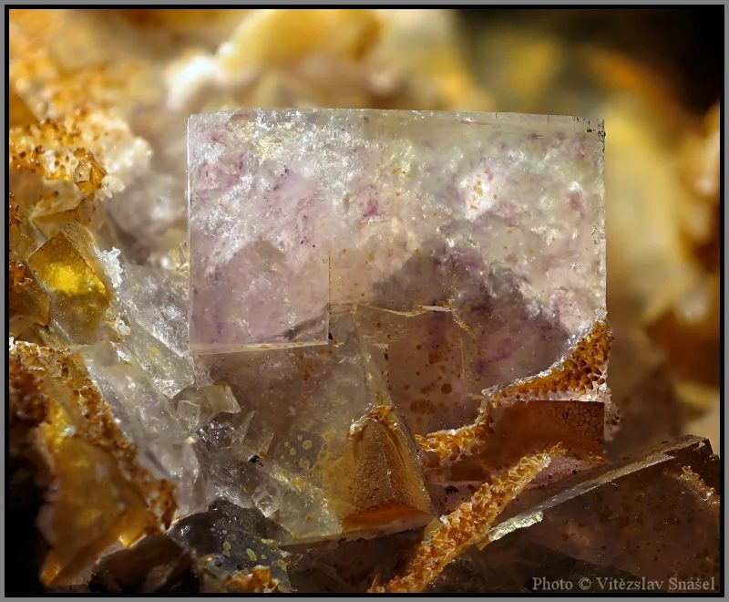 Fotografie minerálu Fluorit z lokality Budjgar, Mongolia