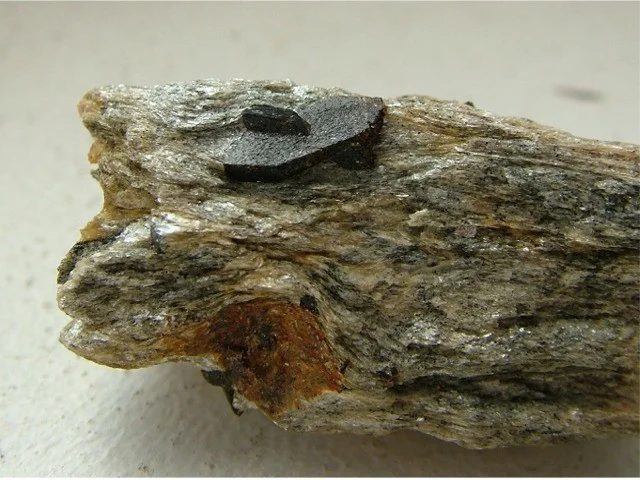 Fotografie minerálu Staurolit z lokality Annaquelle, Petrov nad Desnou, Czech Republic