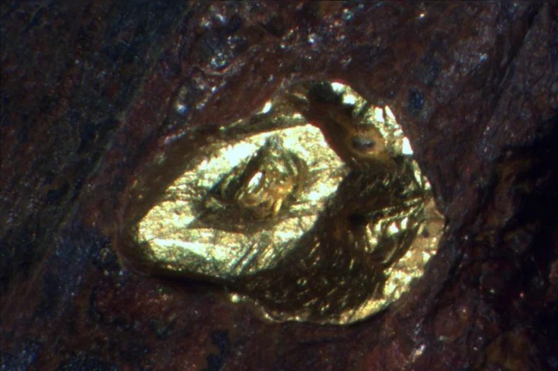 Fotografie minerálu Zlato z lokality Zinggenstock, Switzerland