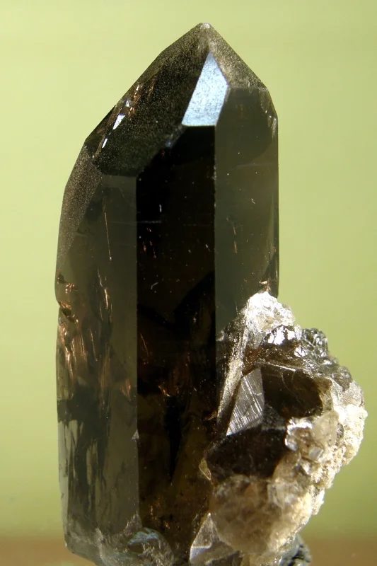 Fotografie minerálu Křemen (var. záhněda) z lokality Zinggenstock, Switzerland