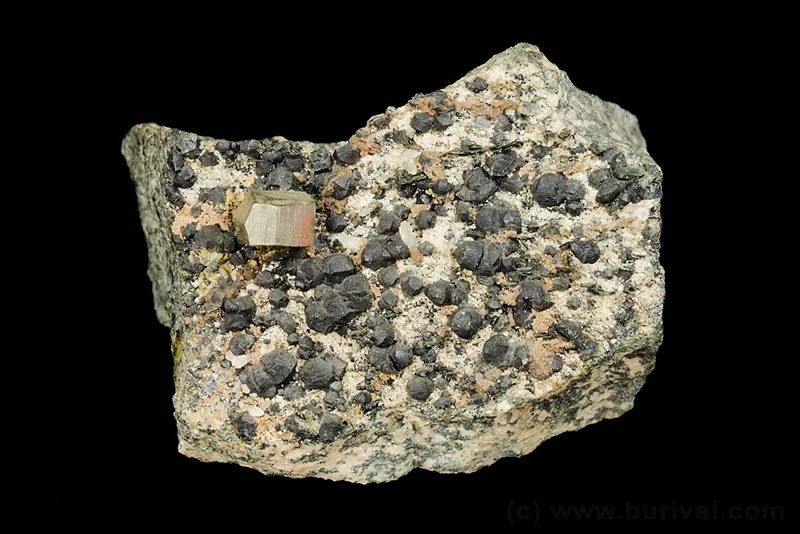 Fotografie minerálů Klinochlor, Pyrit z lokality Mirošov, Czech Republic