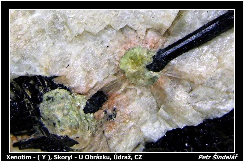 Fotografie minerálu Xenotim-(Y) z lokality U Obrázku, Údraž, Czech Republic