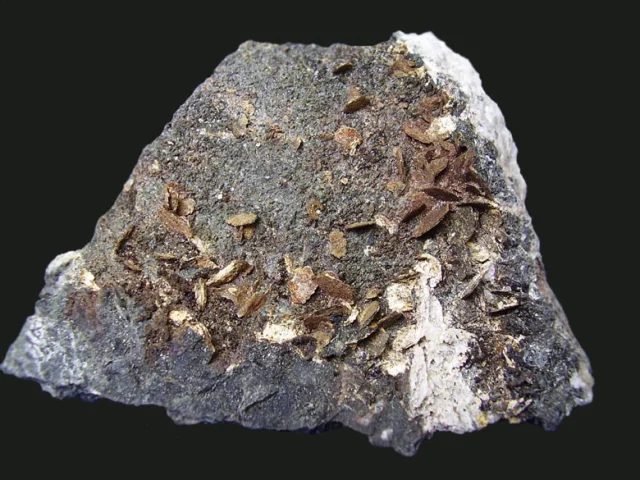 Fotografie minerálu Klinochlor z lokality Polnička, Czech Republic