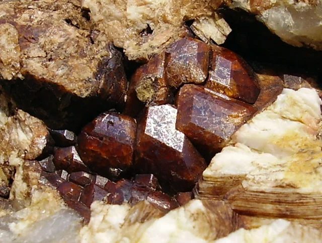 Fotografie minerálu Grossulár z lokality Moravské Bránice, Czech Republic
