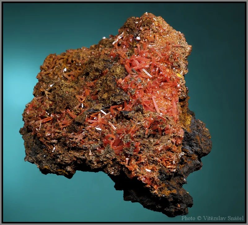 Fotografie minerálu Krokoit z lokality Dundas, Tasmánie, Australia