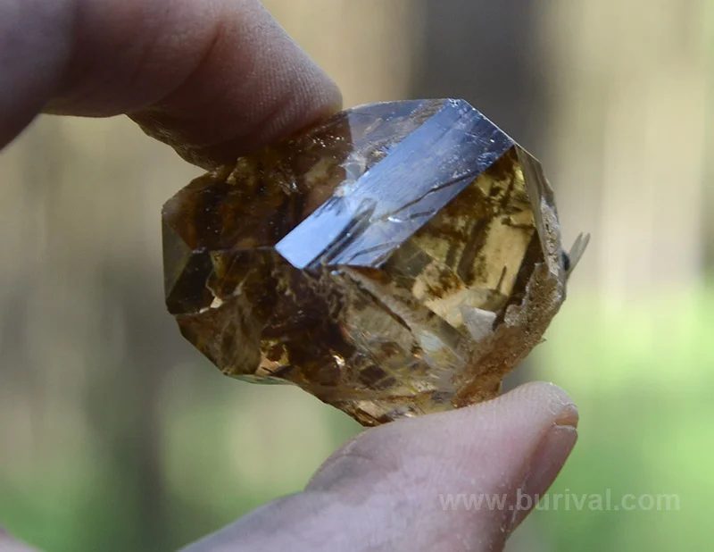 Fotografie minerálu Křemen (var. záhněda) z lokality Dolní Bory, Czech Republic