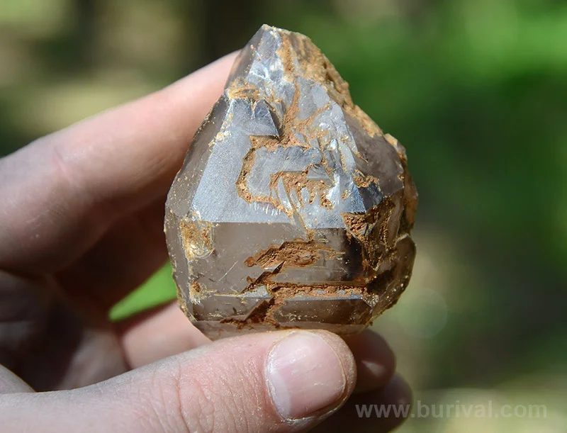Fotografie minerálu Křemen (var. záhněda) z lokality Dolní Bory, Czech Republic