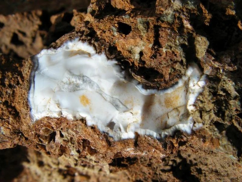 Fotografie minerálu Křemen (var. chalcedon) z lokality Starý Jičín - Heřmanice, Czech Republic