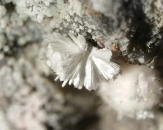 Fotografie minerálu Guérinit z lokality Jáchymov, Czech Republic