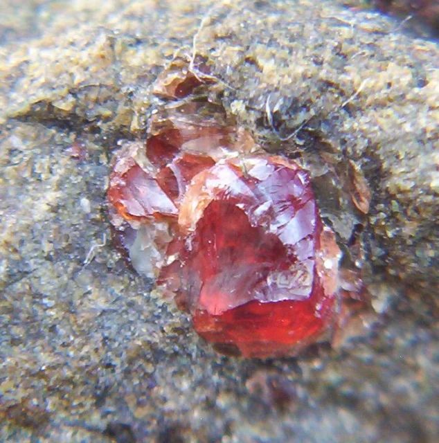 Fotografie minerálu Pyrop z lokality Drahonín, Czech Republic