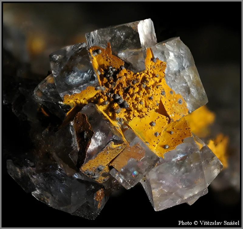 Fotografie minerálu Fluorit z lokality Budjgar, Mongolia