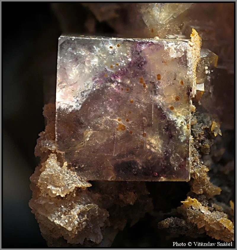 Fotografie minerálu Fluorit z lokality Budjgar, Mongolia