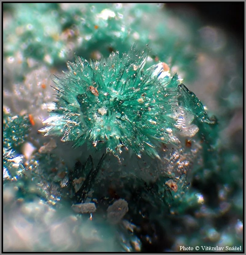 Fotografie minerálu Malachit z lokality Aouli, Morocco
