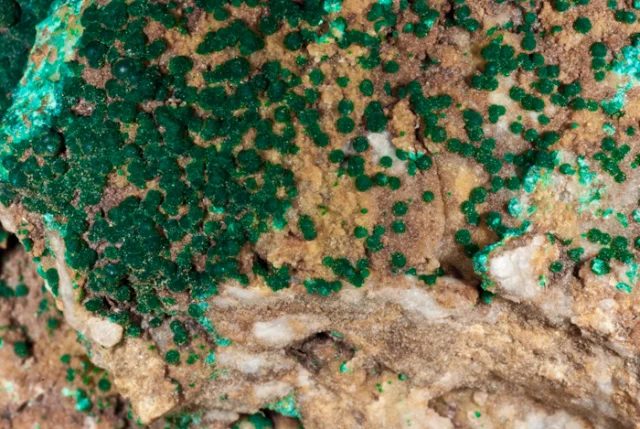 Fotografie minerálu Pseudomalachit z lokality Mutěnín, Czech Republic