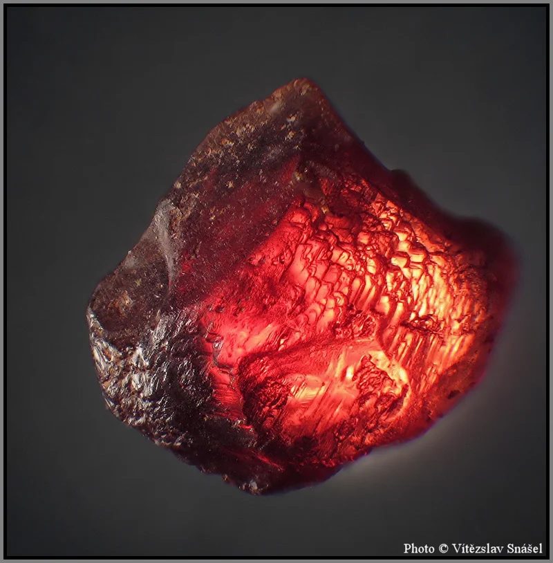Fotografie minerálu Pyrop z lokality Vestřev, Czech Republic