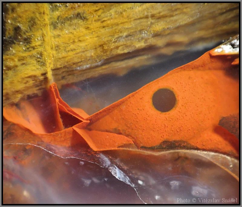 Fotografie minerálu Achát z lokality Železnice, Czech Republic