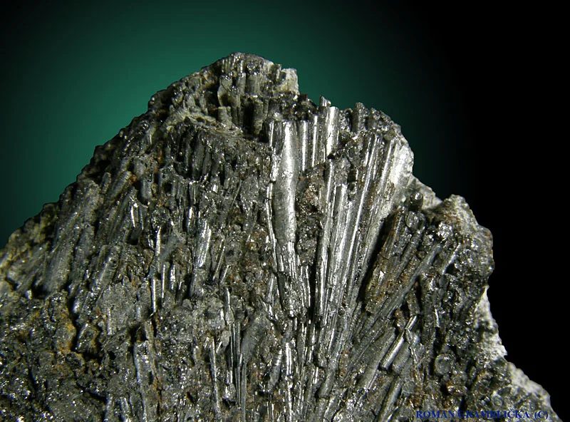 Fotografie minerálu Cylindrit z lokality Santa Cruz Mine, Poopó, Oruro Dep., Bolivia