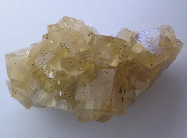 Fotografie minerálu Fluorit z lokality Běstvina, Czech Republic