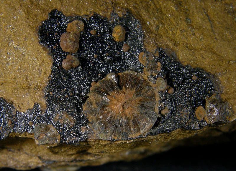 Fotografie minerálu Natrodufrénit z lokality Poniklá, Czech Republic