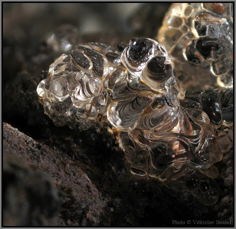Fotografie minerálu Opál (var. hyalit) z lokality Valeč, Czech Republic