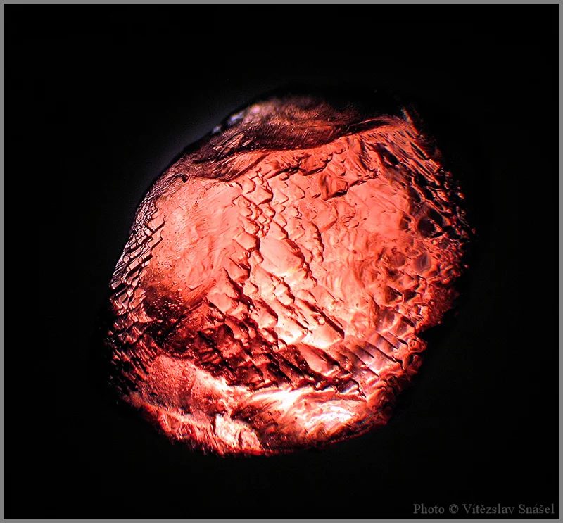 Fotografie minerálu Pyrop z lokality Vestřev, Czech Republic