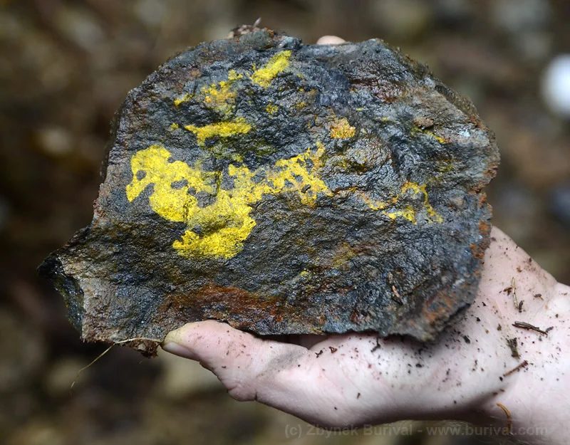 Fotografie minerálu Greenockit z lokality Zlatý Kopec, Czech Republic