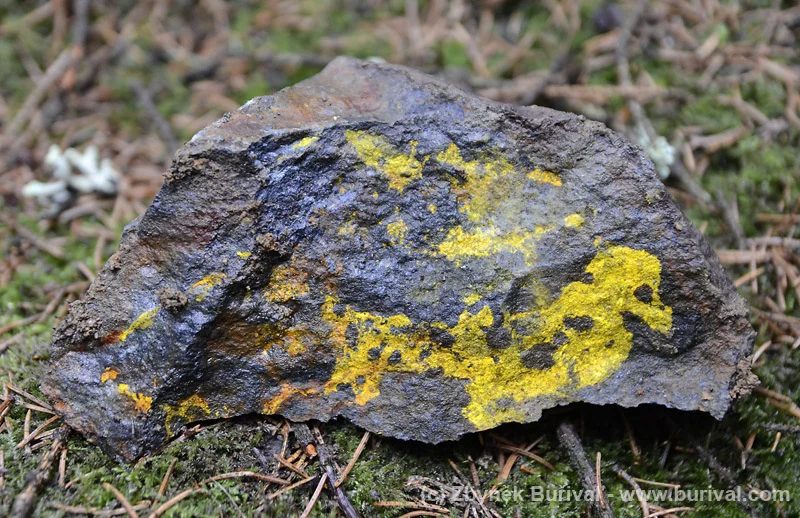 Fotografie minerálu Greenockit z lokality Zlatý Kopec, Czech Republic