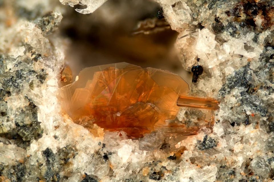 Fotografie minerálu Fluoroflogopit z lokality Chastreix, France