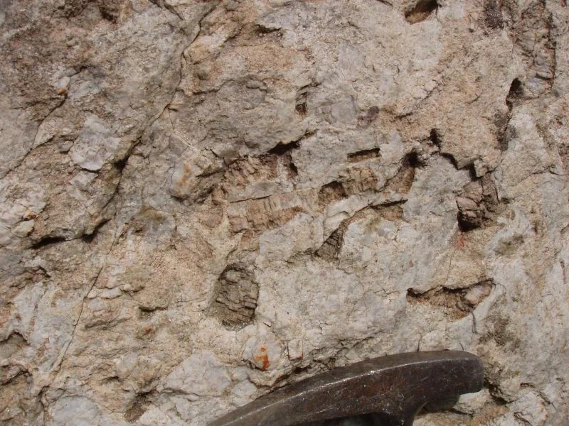 Fotografie minerálu Petalit z lokality Barroso-Alvão - Lousas outcrop, Portugal