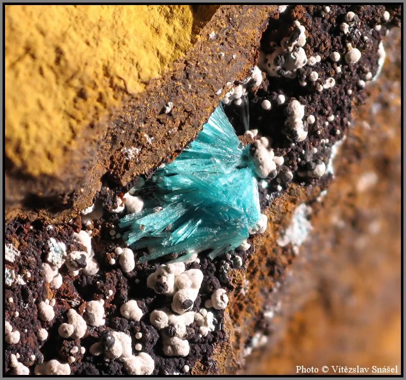 Fotografie minerálu Aurichalcit z lokality Ojuela Mine, Mexico