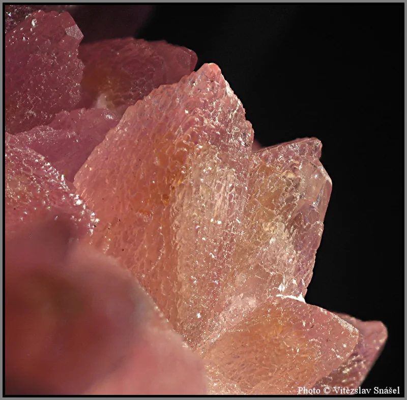 Fotografie minerálu Kalcit (var. kobaltokalcit) z lokality Bou Azzer, Morocco