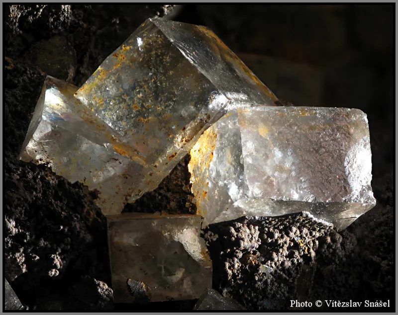 Fotografie minerálu Fluorit z lokality Budjgar, Mongolia