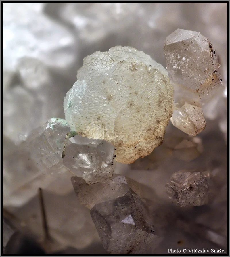 Fotografie minerálu Prehnit z lokality Obří Důl, Czech Republic