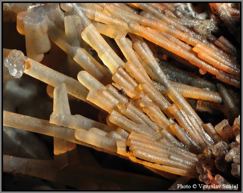 Fotografie minerálu Křemen (var. chalcedon) z lokality Železnice, Czech Republic