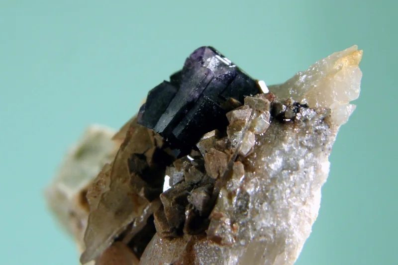 Fotografie minerálů Fluorit, Scheelit z lokality Cínovec, Czech Republic