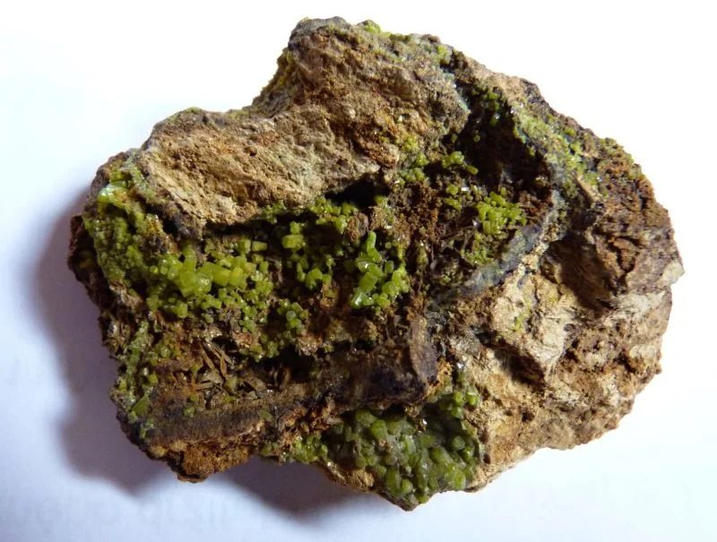 Fotografie minerálu Pyromorfit z lokality Nová Ves u Rýmařova, Czech Republic