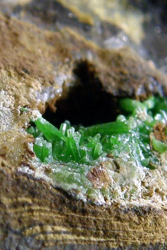 Fotografie minerálu Pyromorfit z lokality Čiháň, Czech Republic