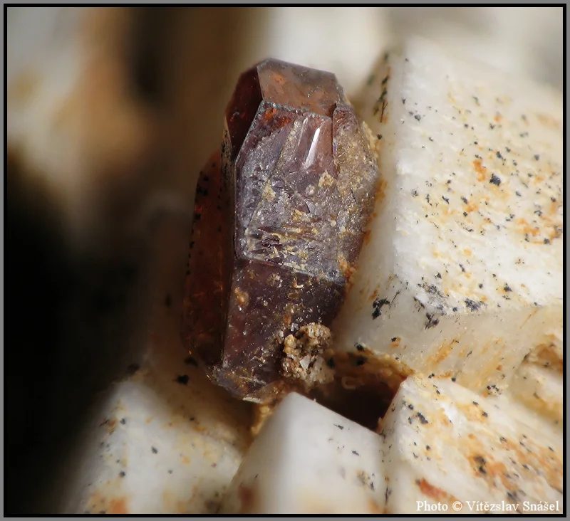 Fotografie minerálu Titanit z lokality Imilchil, Morocco