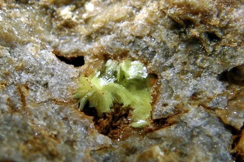 Fotografie minerálu Uranocircit z lokality Damětice, Czech Republic