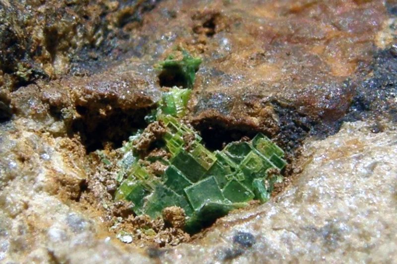 Fotografie minerálu Uranocircit z lokality Damětice, Czech Republic