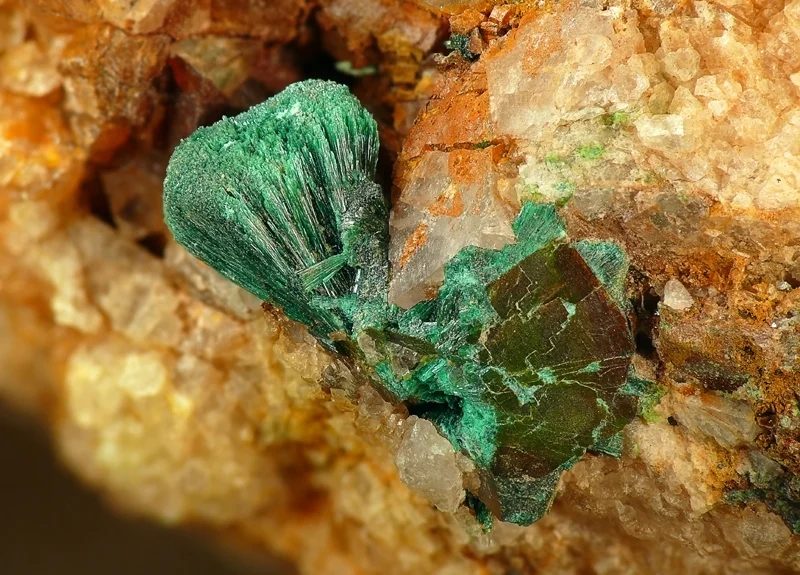 Fotografie minerálu Malachit z lokality Niederschlag, Germany