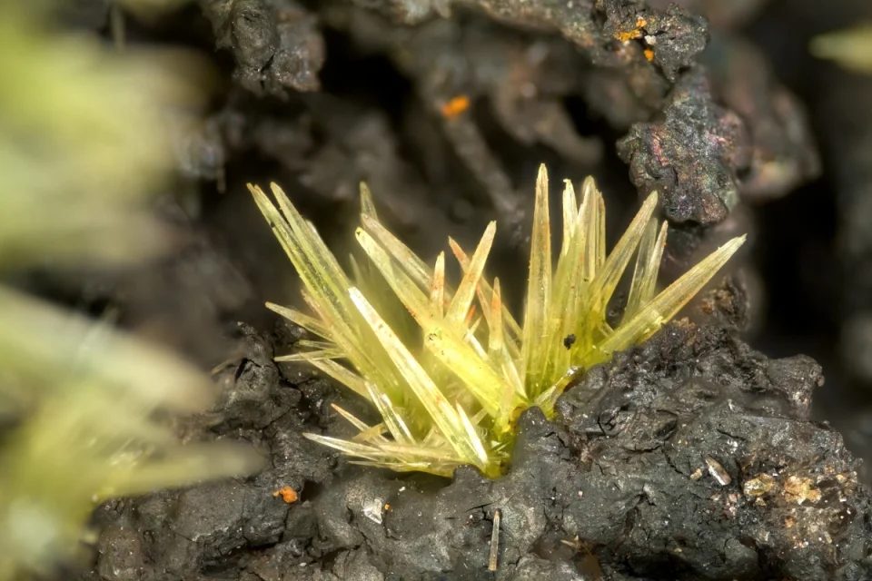 Fotografie minerálu Pyromorfit z lokality Villefranche de Rouergue, France